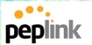 Peplink