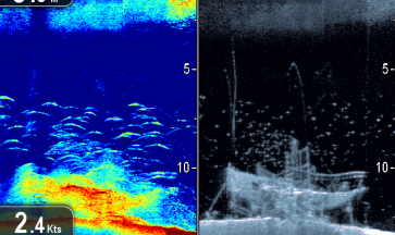 Dragonfly Painestore