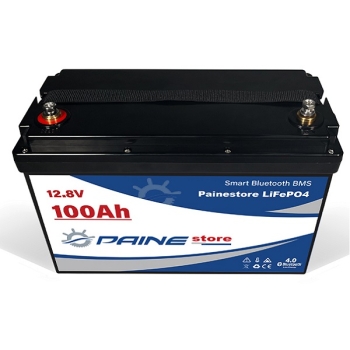 Batteria al Litio 12,8V 100Ah LiFePO4 Smart BMS con Bluetooth Painestore