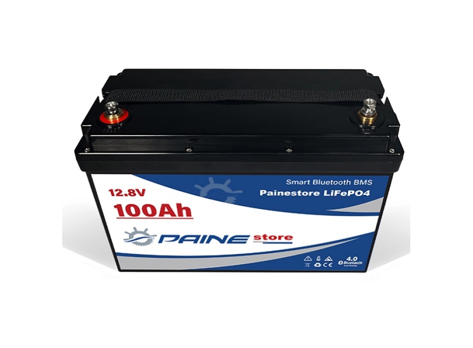 Batteria al Litio 12,8V 100Ah LiFePO4 Smart BMS con Bluetooth Painestore