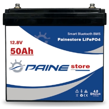 Batteria al Litio 12,8V 50Ah LiFePO4 Smart BMS  Painestore