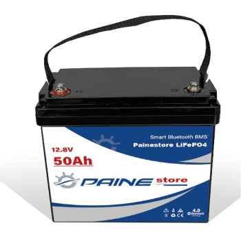 Batteria al Litio 12,8V 50Ah LiFePO4 Smart BMS  Painestore