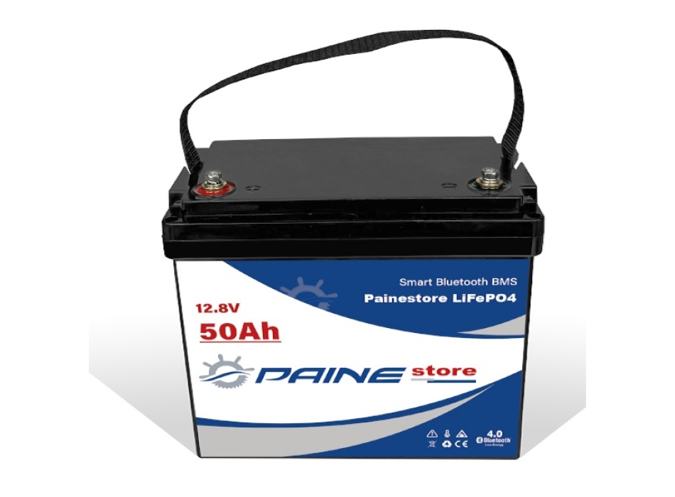 Batteria al Litio 12,8V 50Ah LiFePO4 Smart BMS  Painestore