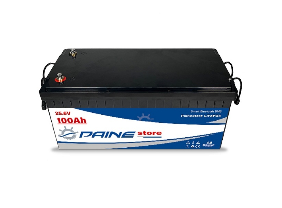 Batteria al Litio 24V 100Ah LiFePO4 Smart BMS con Bluetooth Painestore