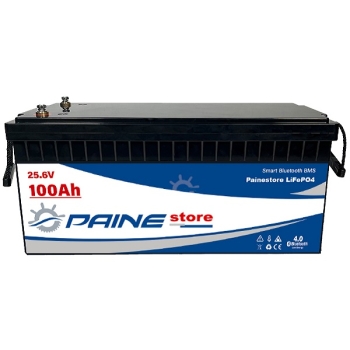 Batteria al Litio 24V 100Ah LiFePO4 Smart BMS con Bluetooth Painestore