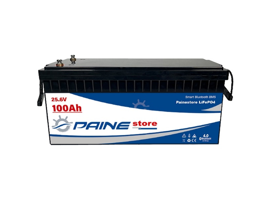 Batteria al Litio 24V 100Ah LiFePO4 Smart BMS con Bluetooth Painestore