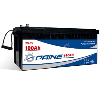 Batteria al Litio 24V 100Ah LiFePO4 Smart BMS con Bluetooth Painestore