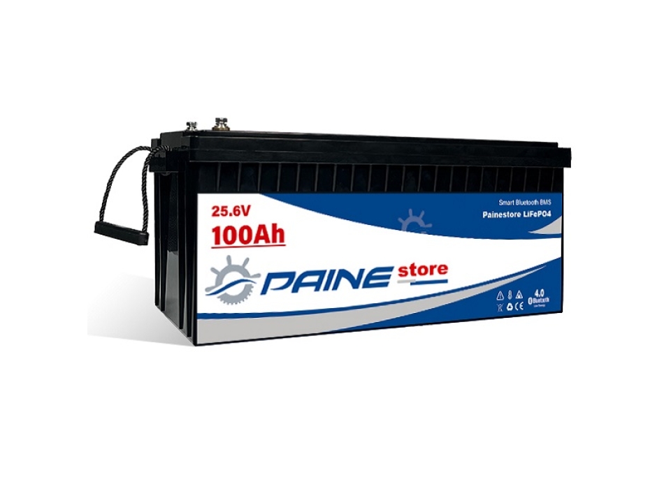 Batteria al Litio 24V 100Ah LiFePO4 Smart BMS con Bluetooth Painestore
