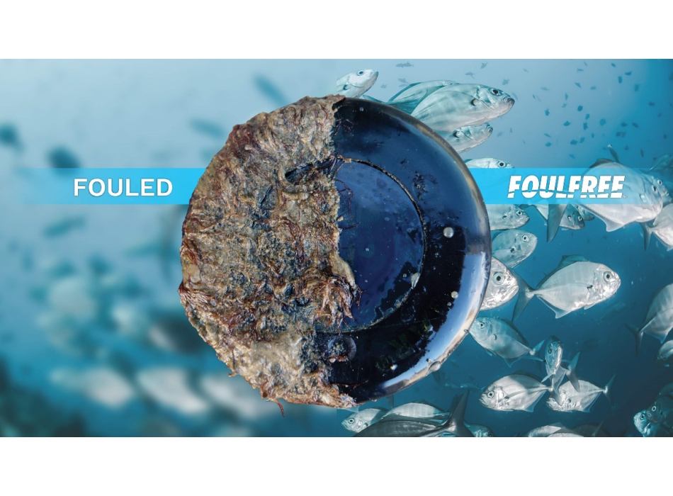 Foulfree Antivegetativa per trasduttori di Propspeed Painestore