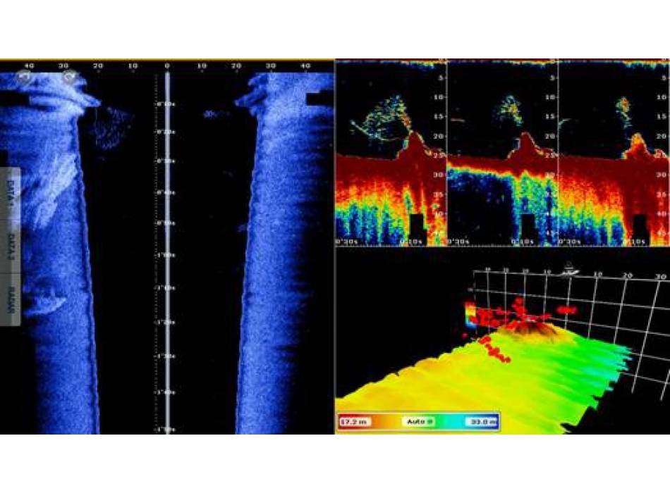 FURUNO DFF3D TM XDCR W/MOTION SENSOR 165T-TM54 Painestore