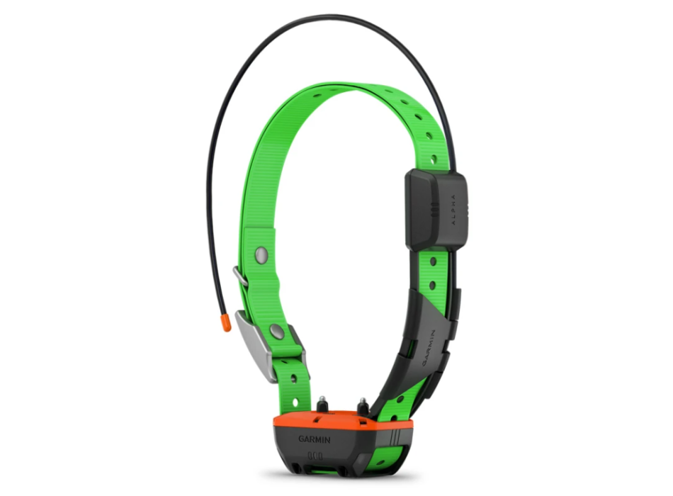 Garmin Collare per cani Alpha TT 25 Painestore