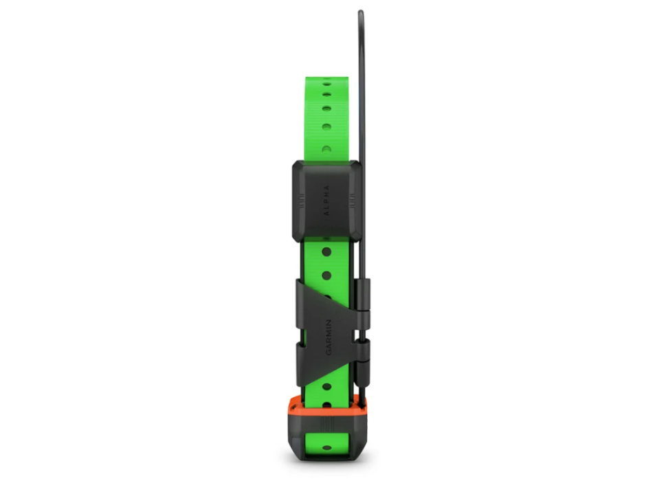 Garmin Collare per cani Alpha TT 25 Painestore