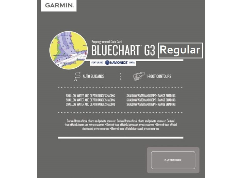 Garmin G2 HD Regular SD-MicroSD Painestore