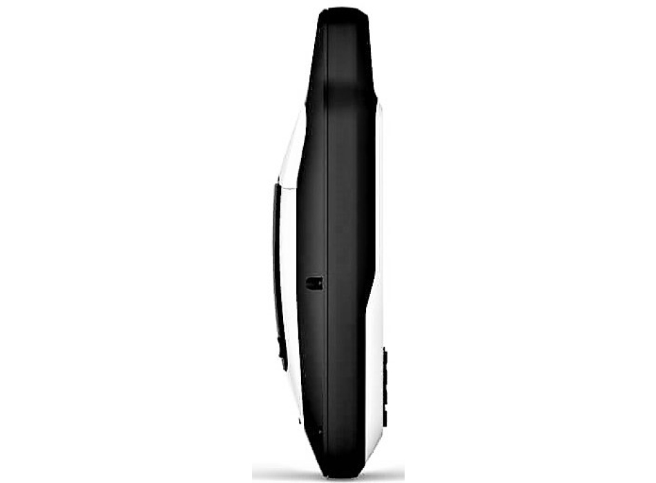 Garmin GPSMAP 79S Portatile Palmare Painestore