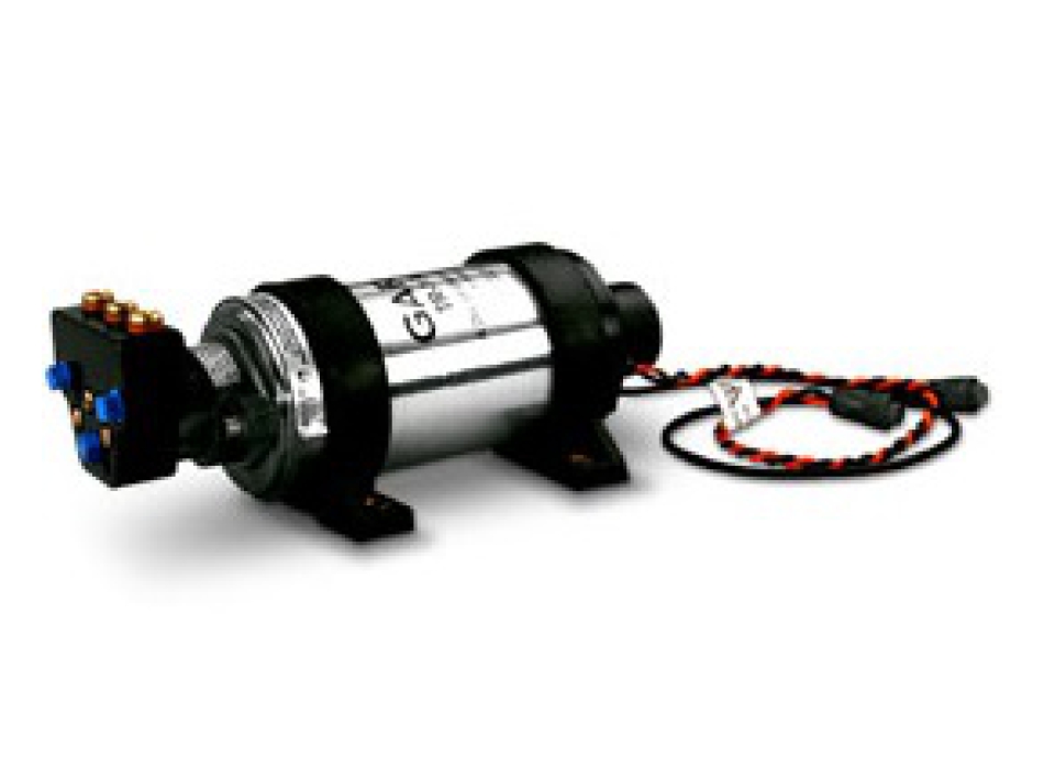 Garmin Pompa reversibile da 2 Litri, 12 V Painestore