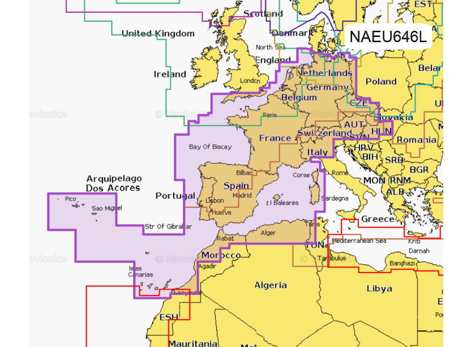 Navionics+ LARGE Micro-SD/SD card Painestore