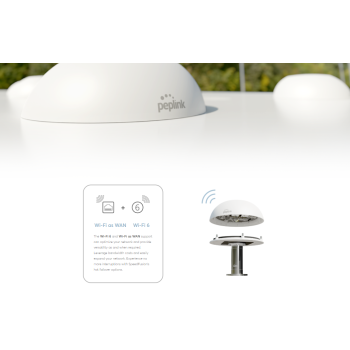 Peplink HD1 Dome Pro Painestore