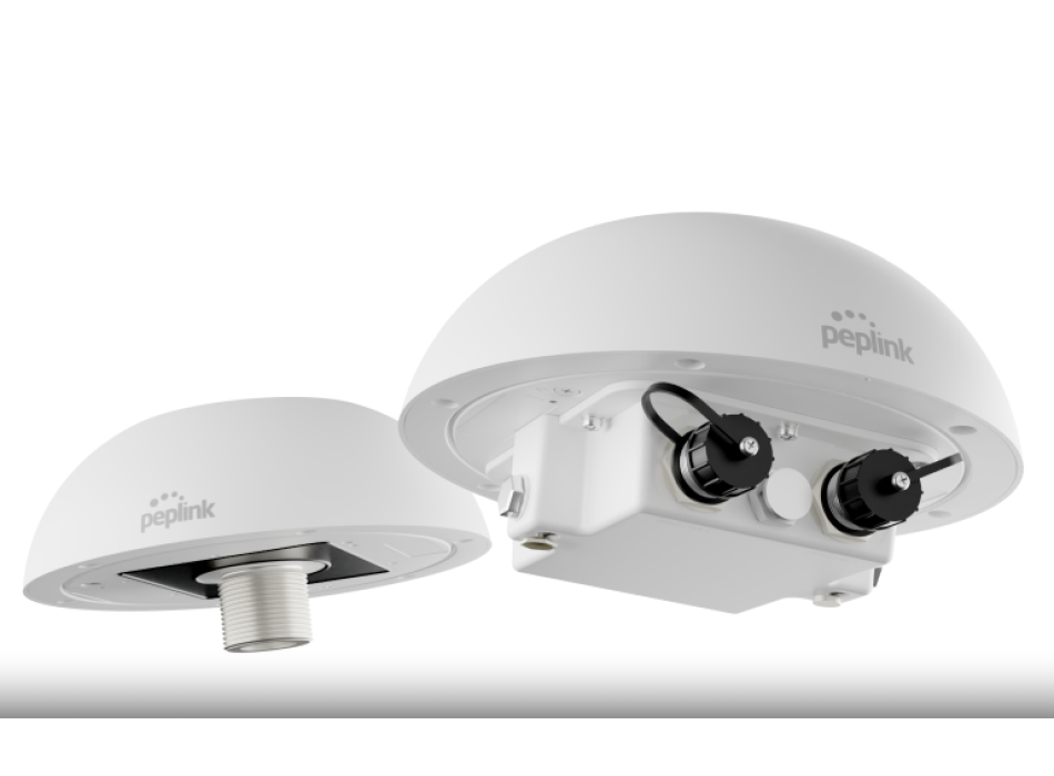 Peplink HD1 Dome Pro Painestore