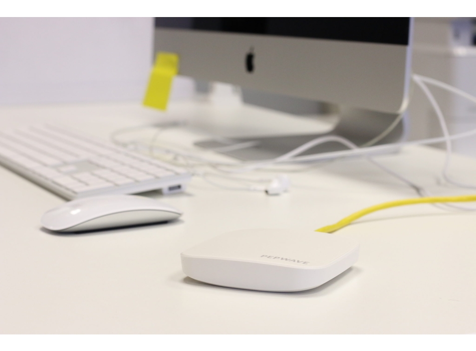PEPWAVE AP One AC Mini Painestore