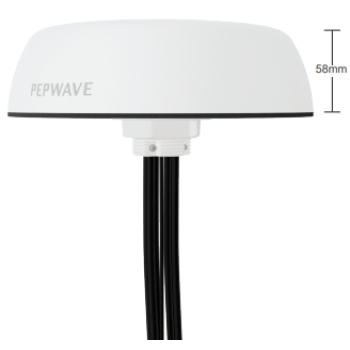 PEPWAVE Mobility 42G Painestore