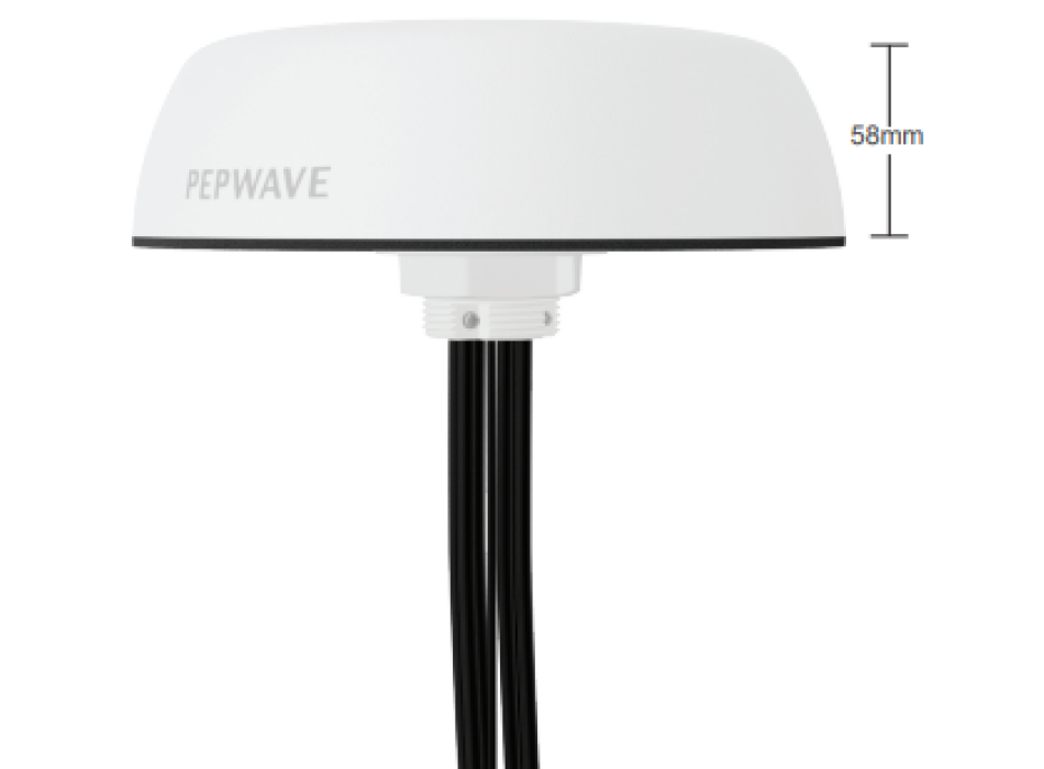 PEPWAVE Mobility 42G Painestore